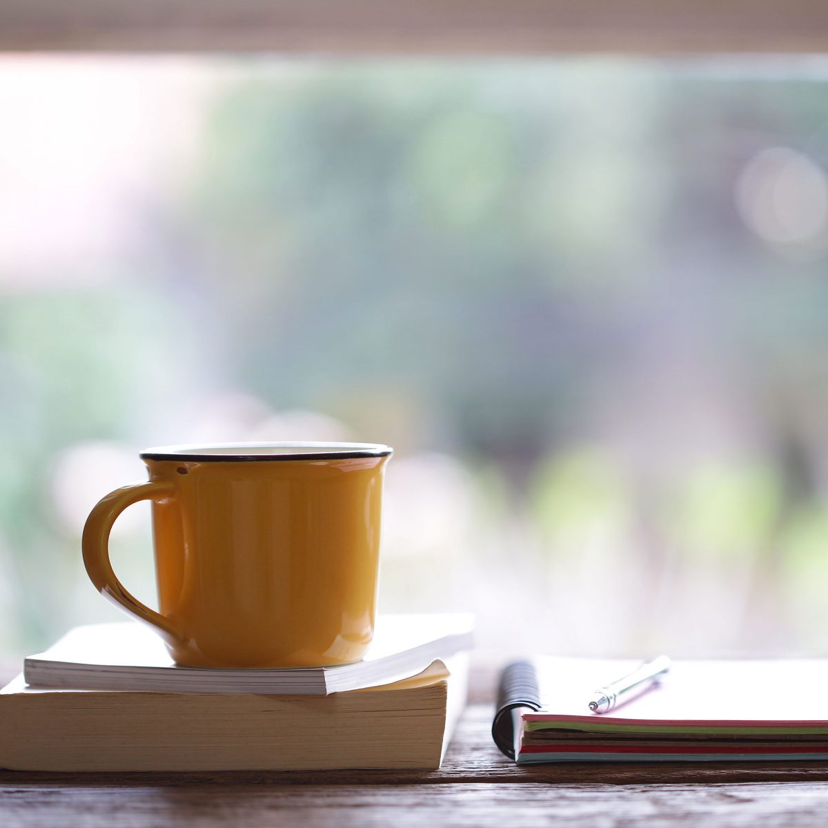 Window Restrictors For Schools & Universities Jackloc